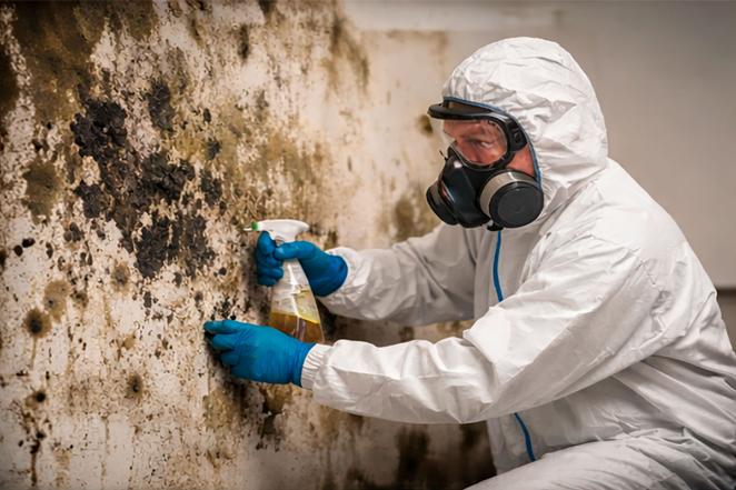 Emergency mold removal and remediation